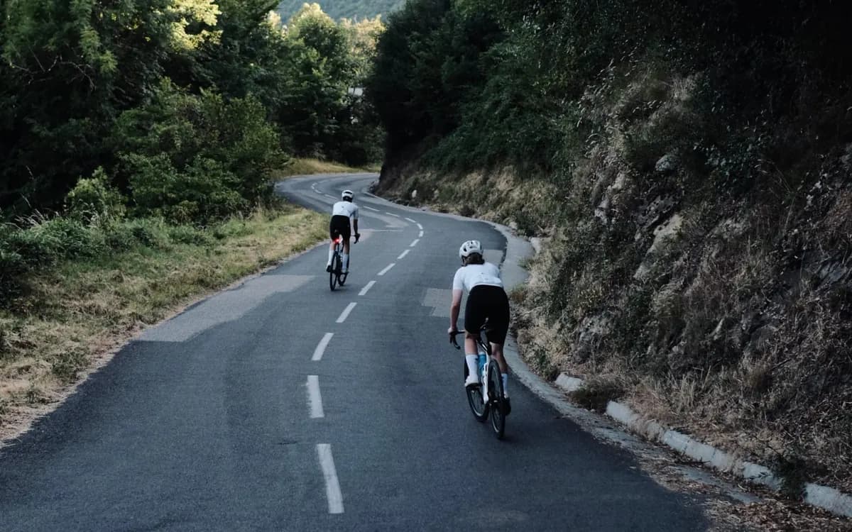 Deux cyclistes sur une route en lacets, en forêt.